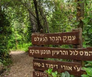 מלון בצפון - הגושרים מלון בטבע