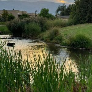 הגושרים מלון בטבע - מלונות בצפון