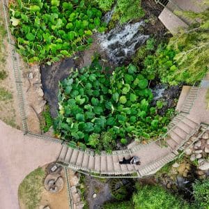 הגושרים מלון בטבע - מלונות בצפון