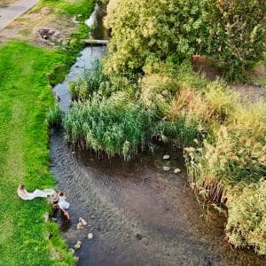 הגושרים מלון בטבע - מלונות בצפון