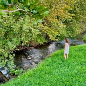 הגושרים מלון בטבע - מלונות בצפון