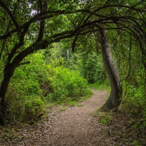 מלון בצפון - הגושרים מלון בטבע