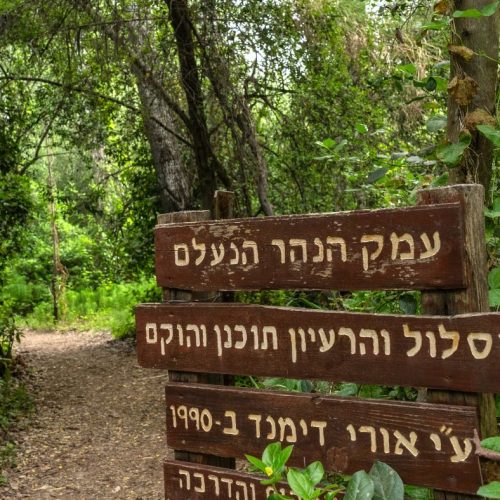 מלון בצפון - הגושרים מלון בטבע