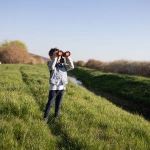 סופ"ש צפרות הגושרים מלון בטבע