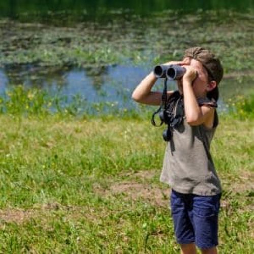 סופ"ש צפרות הגושרים מלון בטבע
