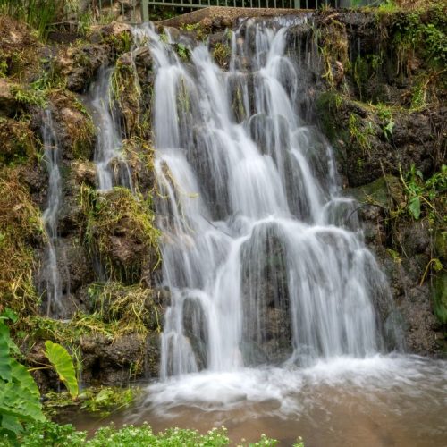 מלון בצפון - הגושרים מלון בטבע